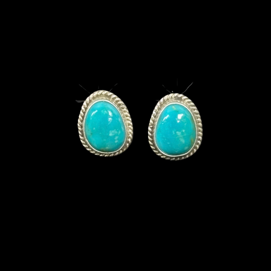 Turquoise Oval Earrings