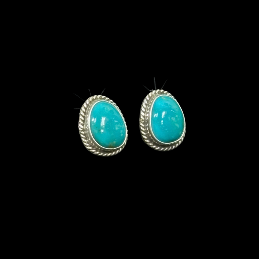 Turquoise Oval Earrings